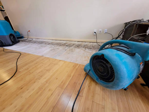 Professional Water Removal technician working in Oakley, MI